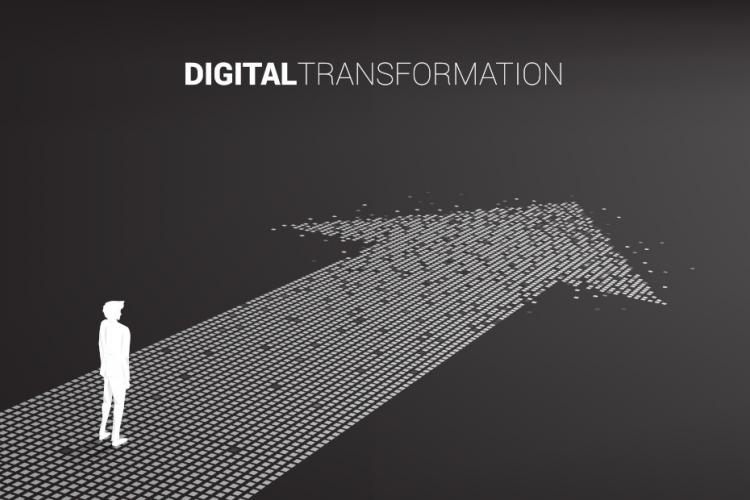 Digital Transformation Services By WES Consultancy